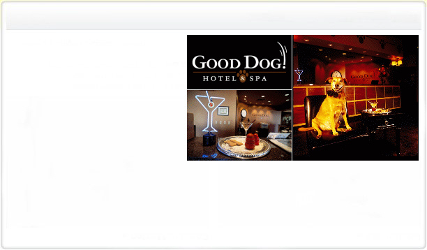 Good Dog Hotel & Spa