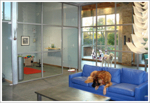 Stay A Modern Dog Hotel