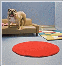 Wag Hotels